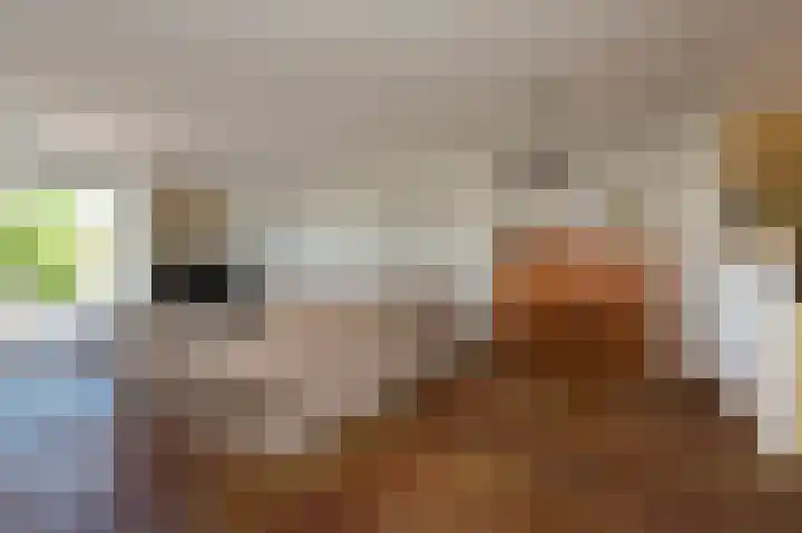 Menno ter Braakstraat 88 Den Haag thumbnail 8