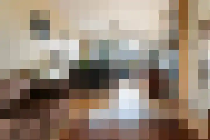 Menno ter Braakstraat 9 Papendrecht thumbnail 11