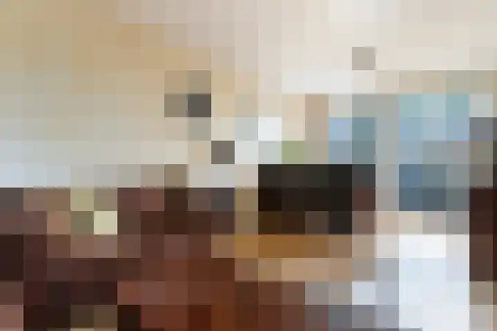 Menno ter Braakstraat 9 Papendrecht thumbnail 12