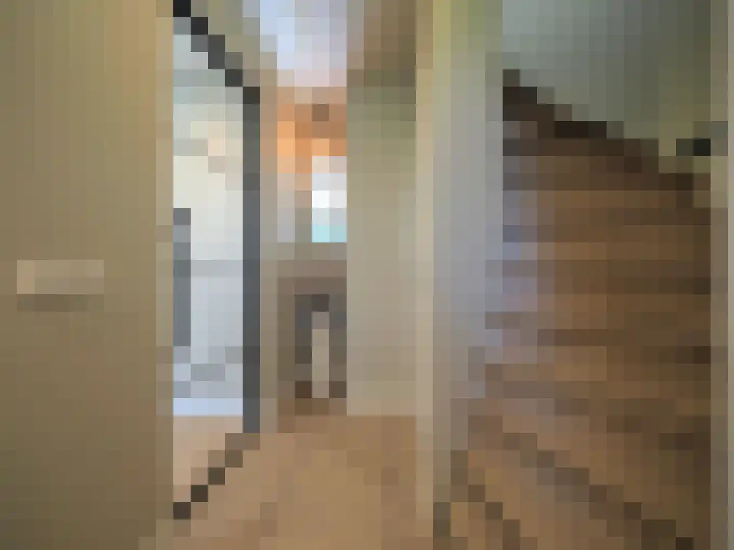 Menno ter Braakstraat 9 Papendrecht thumbnail 14