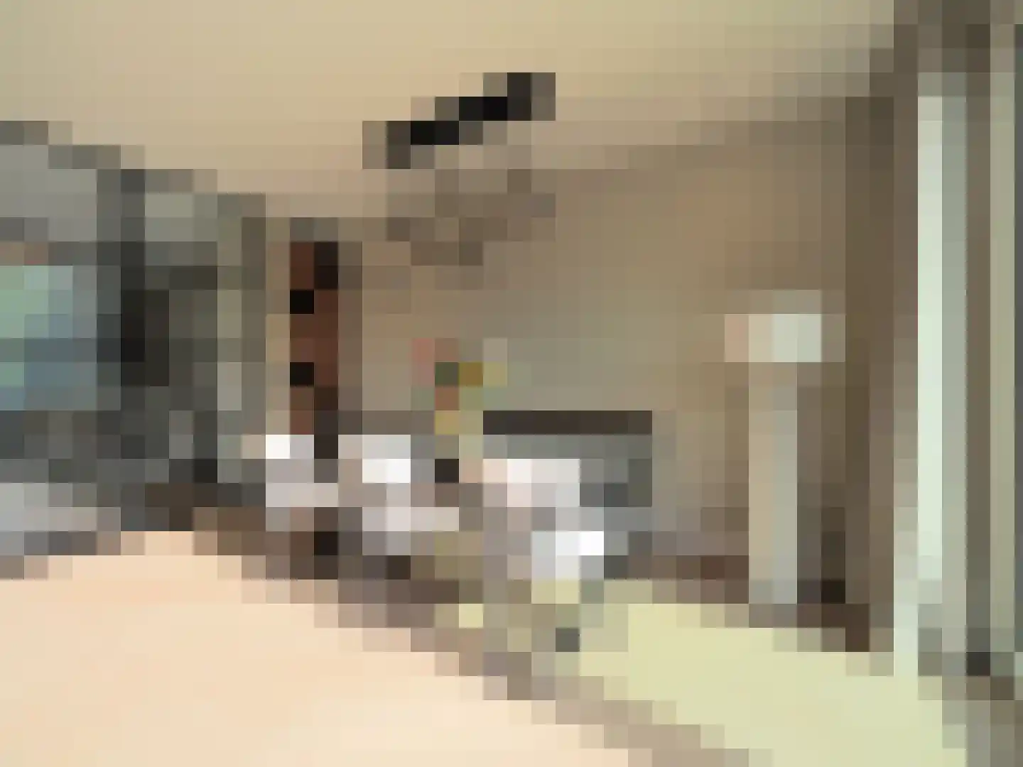 Menno ter Braakstraat 9 Papendrecht thumbnail 25