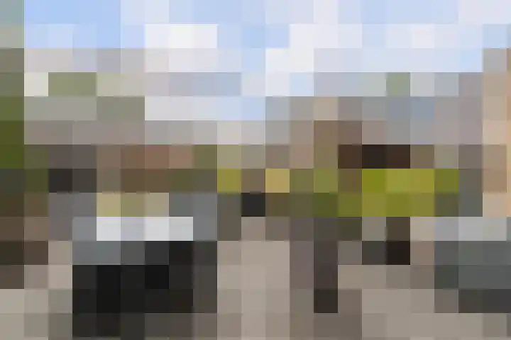 Menno ter Braakstraat 9 Papendrecht thumbnail 25