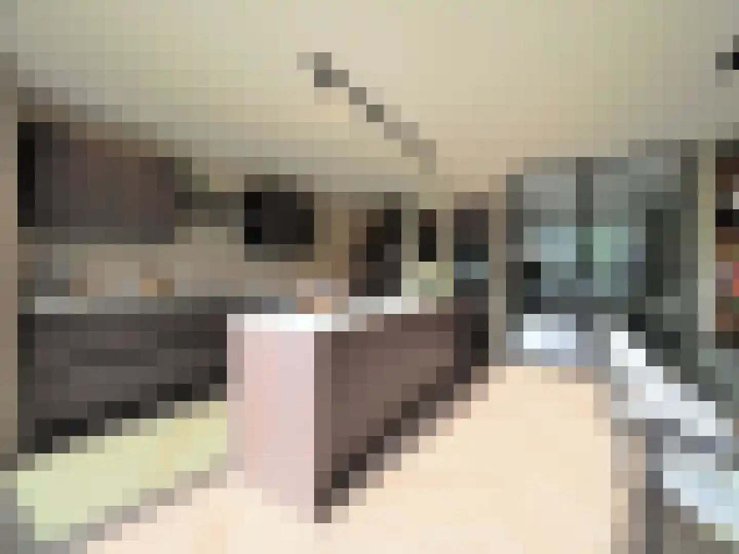 Menno ter Braakstraat 9 Papendrecht thumbnail 26