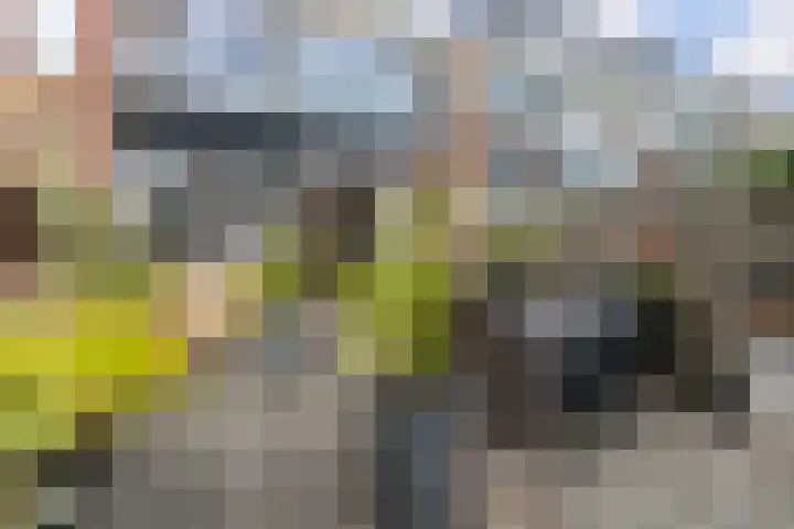 Menno ter Braakstraat 9 Papendrecht thumbnail 27