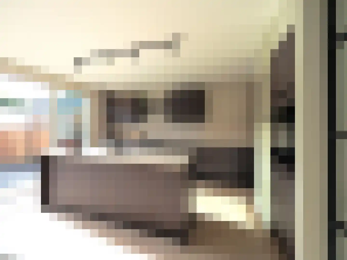 Menno ter Braakstraat 9 Papendrecht thumbnail 28