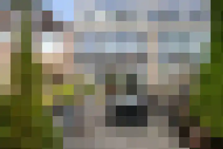 Menno ter Braakstraat 9 Papendrecht thumbnail 28