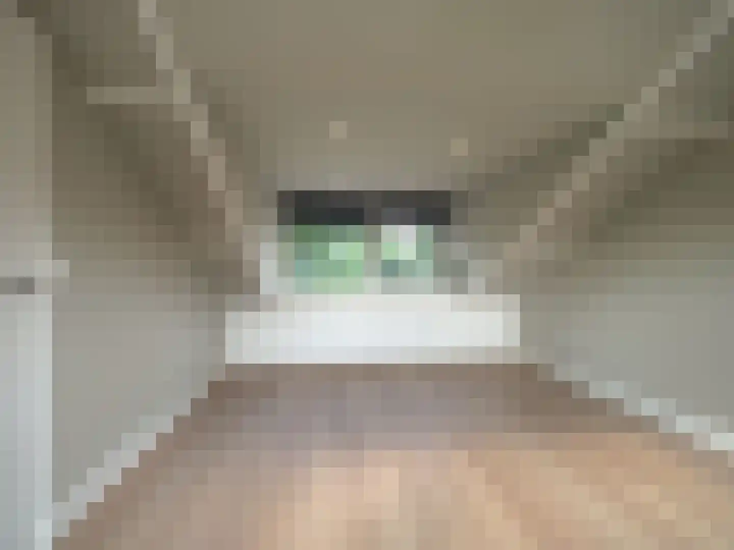 Menno ter Braakstraat 9 Papendrecht thumbnail 49