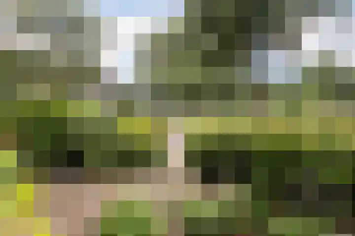 Menno ter Braakstraat 9 Papendrecht thumbnail 5