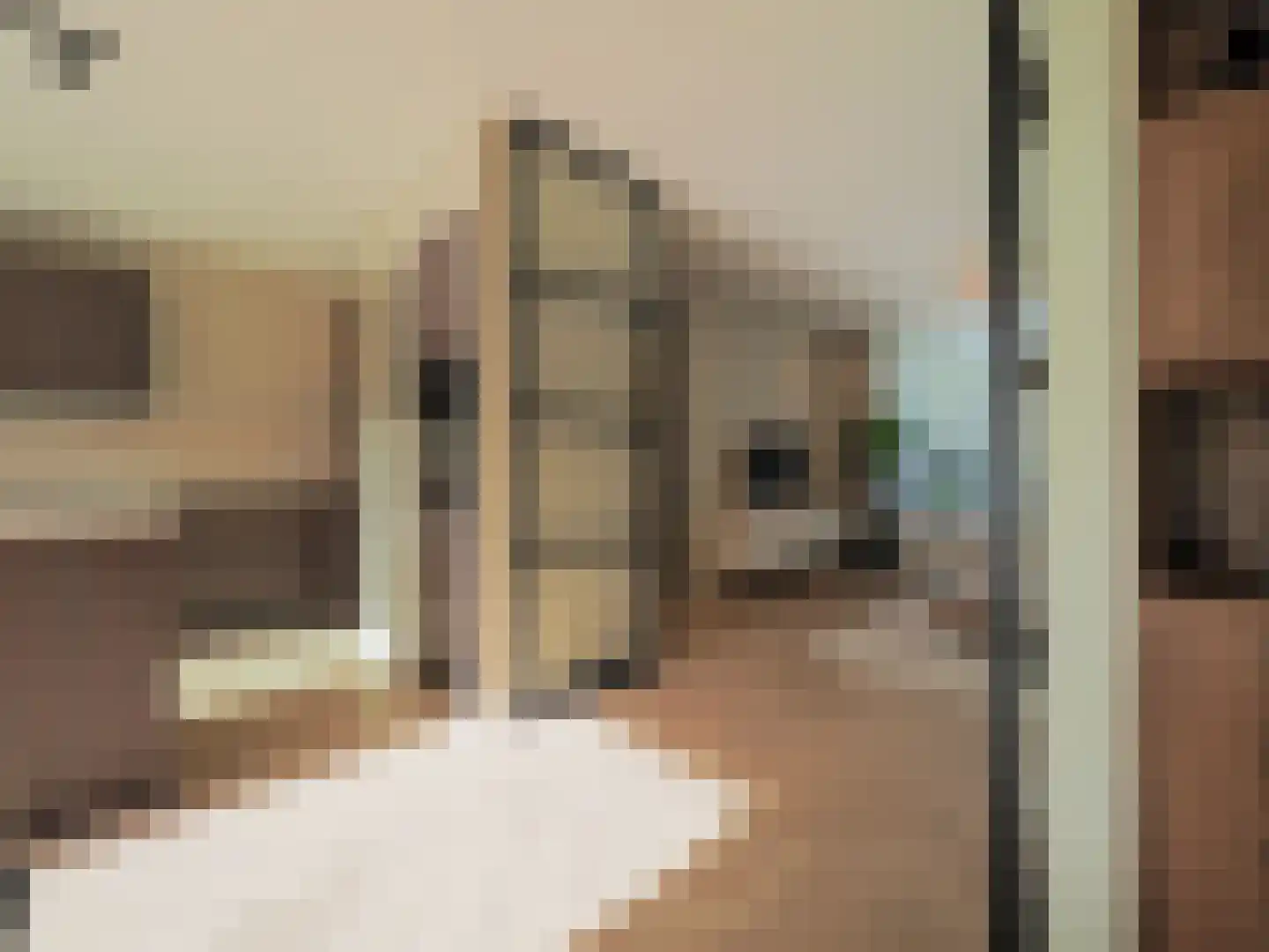 Menno ter Braakstraat 9 Papendrecht thumbnail 7
