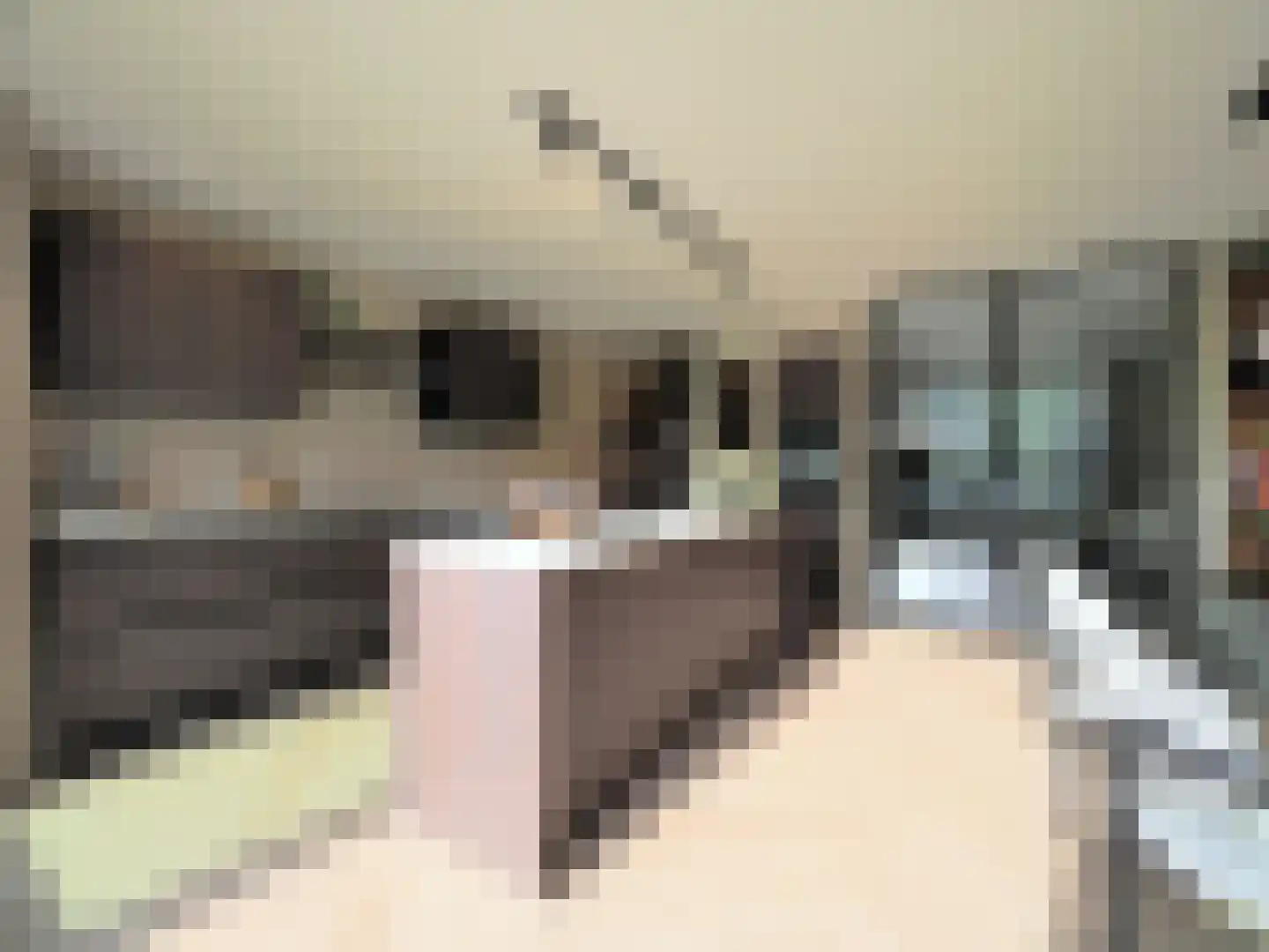 Menno ter Braakstraat 9 Papendrecht thumbnail 8