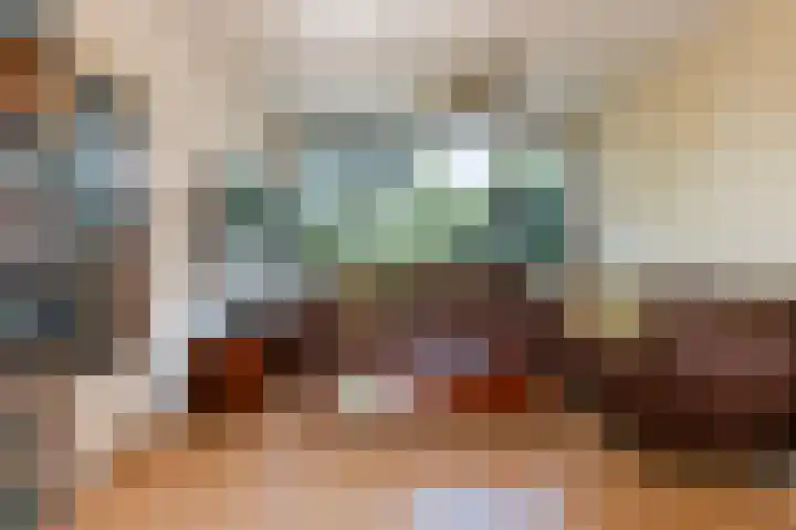 Menno ter Braakstraat 9 Papendrecht thumbnail 8
