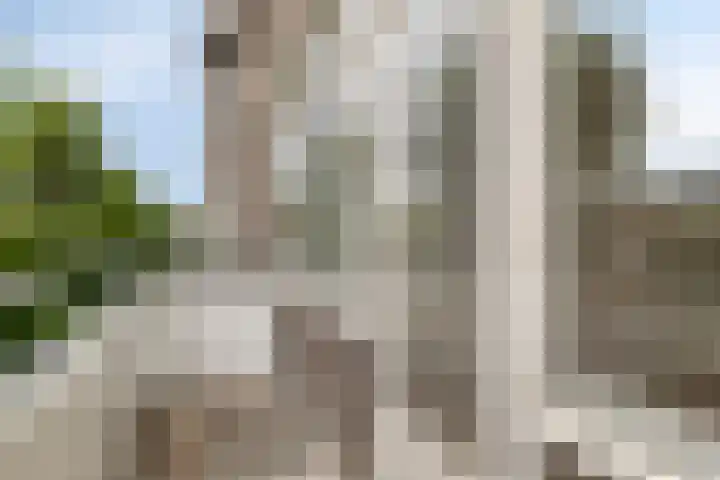Menno ter Braakstraat 94 Rotterdam thumbnail 10