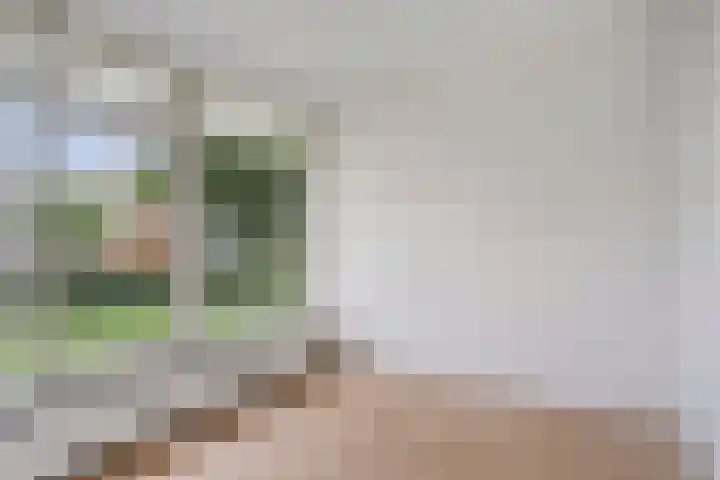 Menno ter Braakstraat 94 Rotterdam thumbnail 17