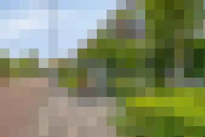 Menno ter Braakstraat 94 Rotterdam thumbnail 22