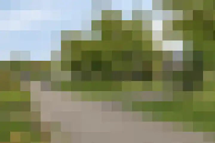 Menno ter Braakstraat 94 Rotterdam thumbnail 23