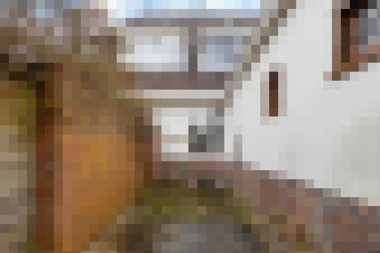 Menno van Coehoornplein 5 Delfzijl thumbnail 13