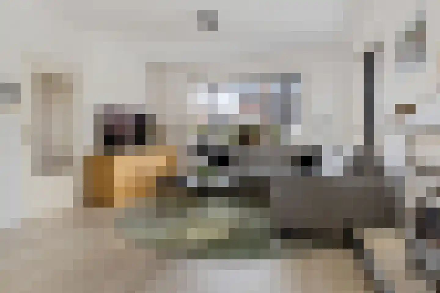 Menno van Coehoornplein 5 Delfzijl thumbnail 20