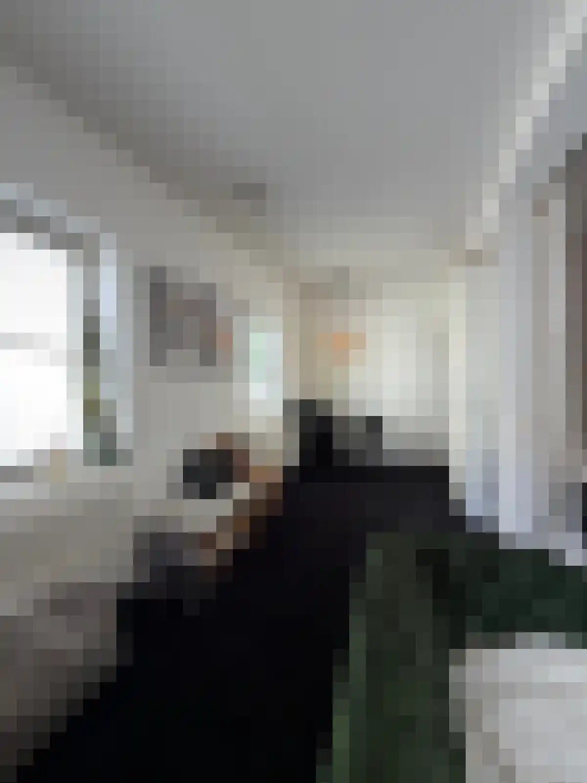 Menno van Coehoornsingel 10 Zwolle thumbnail 6