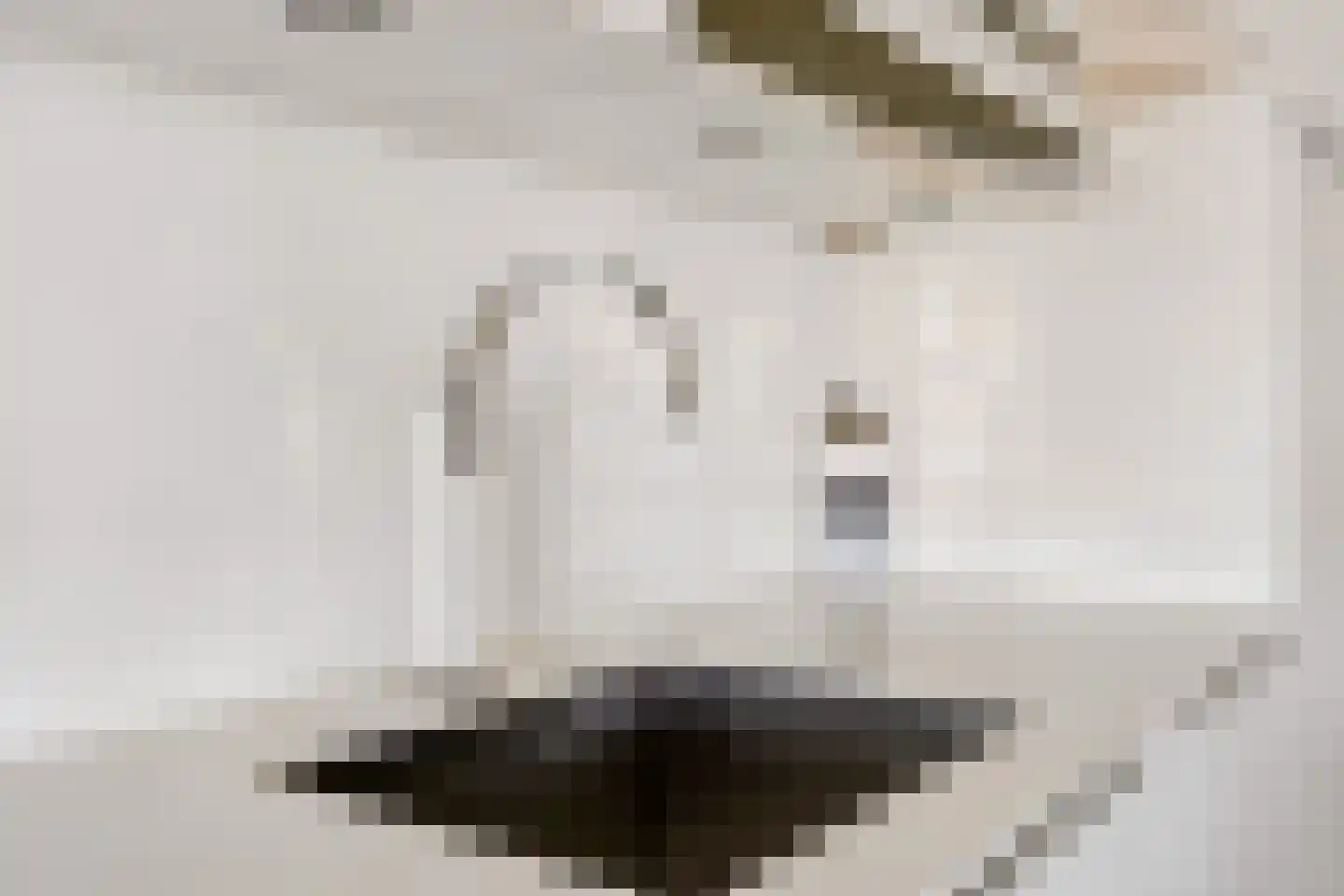 Menno van Coehoornsingel 12 C Zwolle thumbnail 20