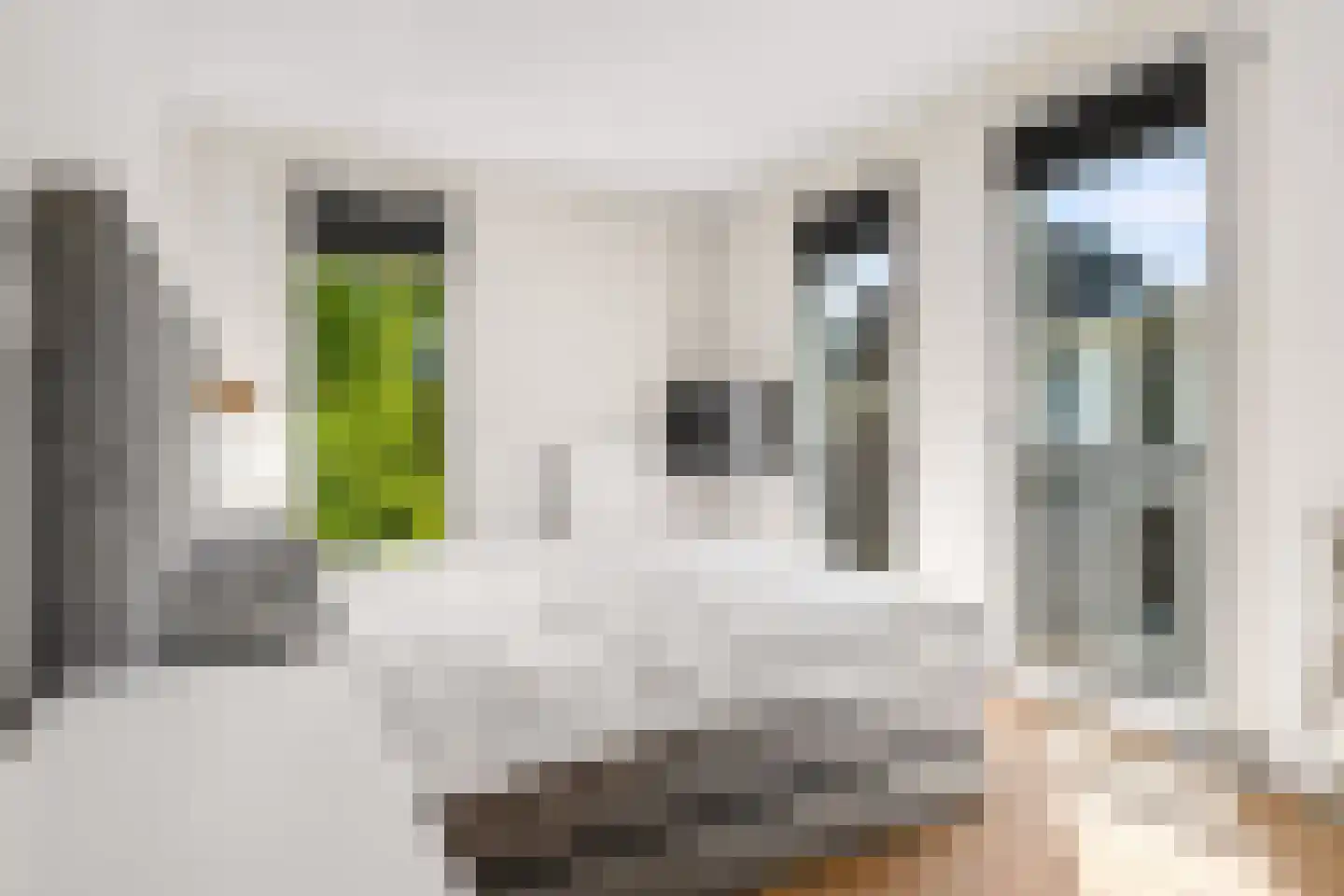 Menno van Coehoornsingel 12 C Zwolle thumbnail 23