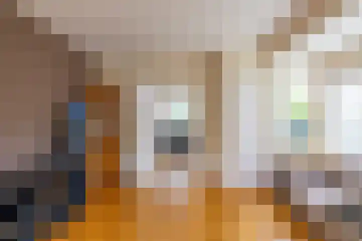 Menno van Coehoornsingel 23 Delfzijl thumbnail 11