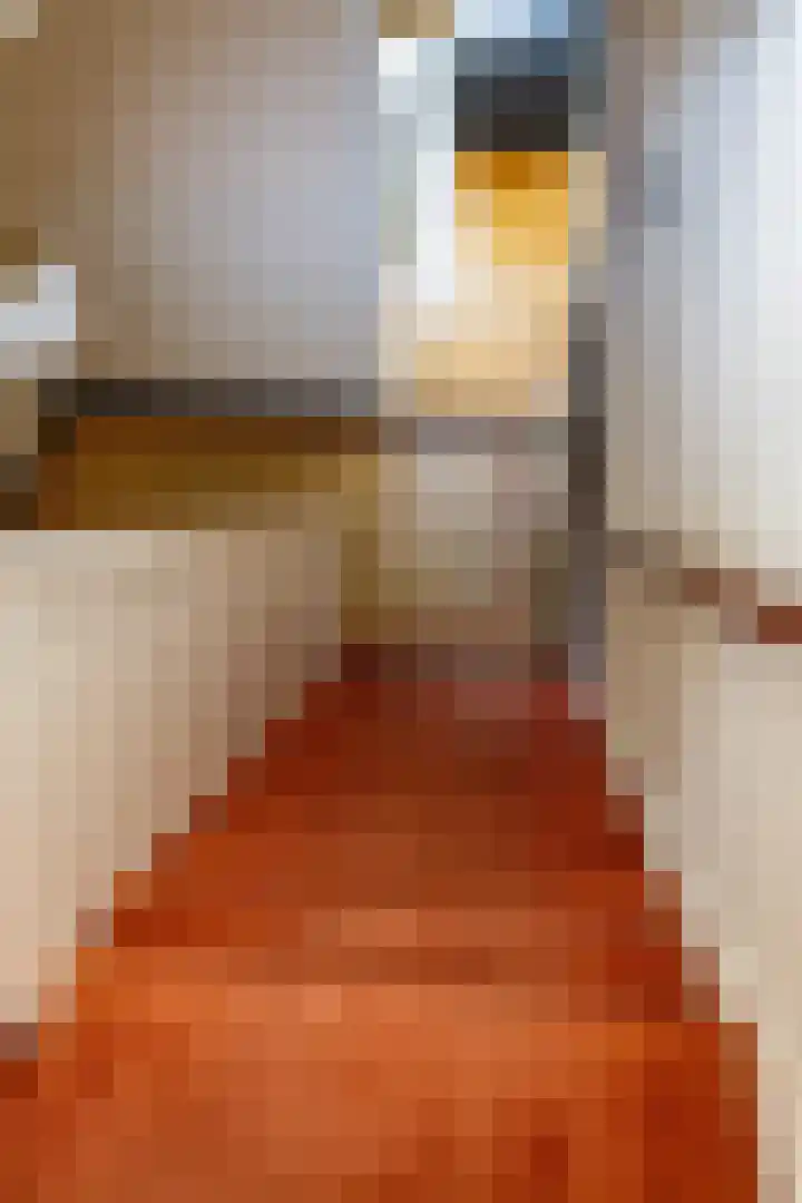 Menno van Coehoornsingel 23 Delfzijl thumbnail 17