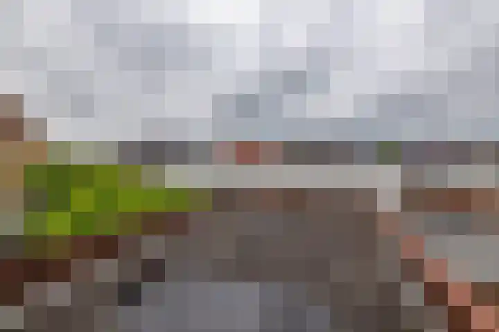 Menno van Coehoornsingel 23 Delfzijl thumbnail 21