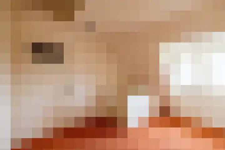 Menno van Coehoornsingel 23 Delfzijl thumbnail 32