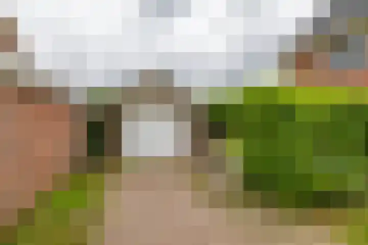 Menno van Coehoornsingel 23 Delfzijl thumbnail 39