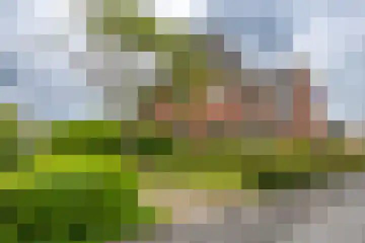 Menno van Coehoornsingel 23 Delfzijl thumbnail 47