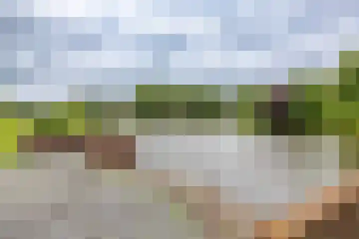 Menno van Coehoornsingel 23 Delfzijl thumbnail 49