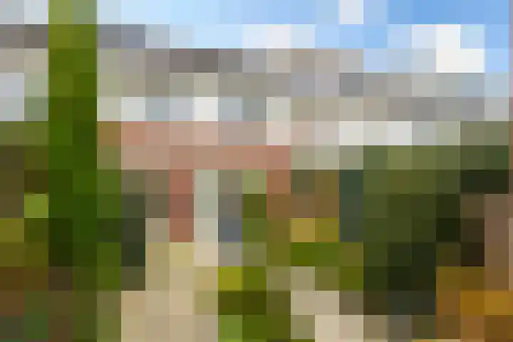 Menno van Coehoornsingel 33 Langerak thumbnail 25