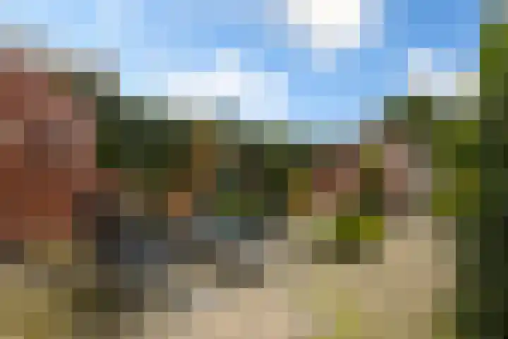 Menno van Coehoornsingel 33 Langerak thumbnail 26