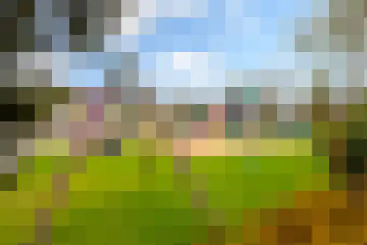 Menno van Coehoornsingel 33 Langerak thumbnail 29