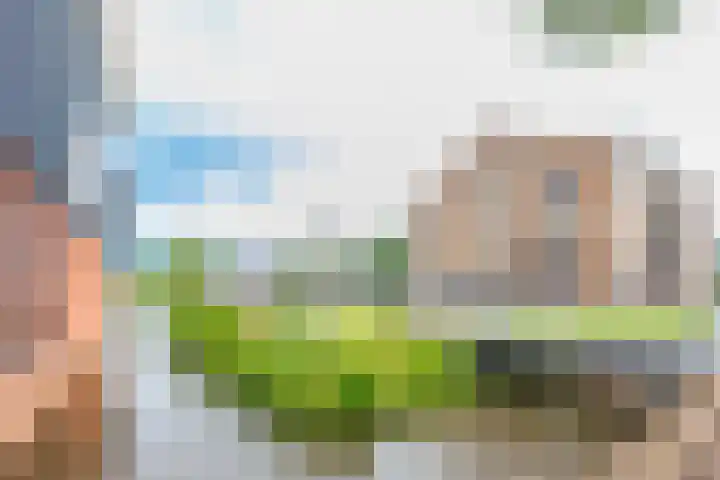 Menno van Coehoornsingel 33 Langerak thumbnail 35