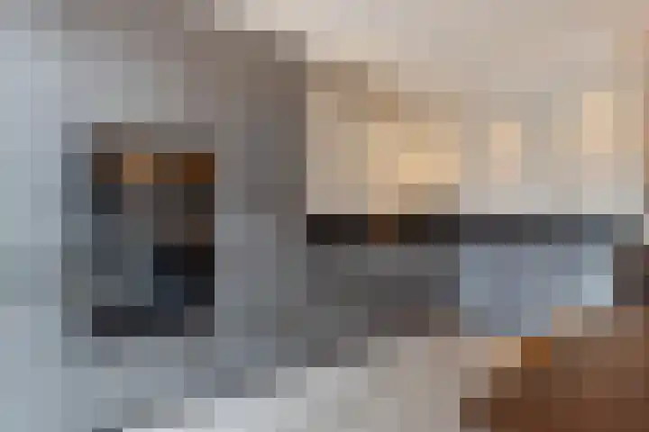 Menno van Coehoornsingel 35 Langerak thumbnail 15