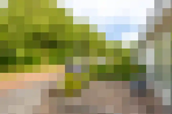 Menno van Coehoornsingel 35 Langerak thumbnail 31