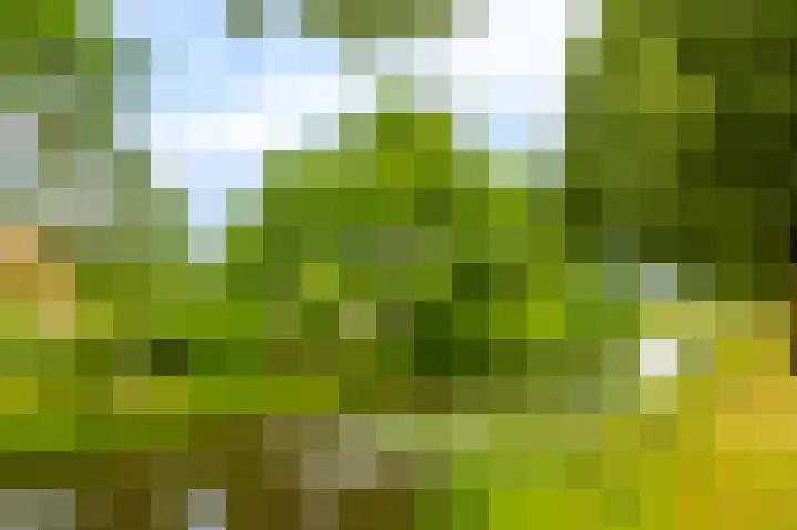 Menno van Coehoornsingel 35 Langerak thumbnail 32
