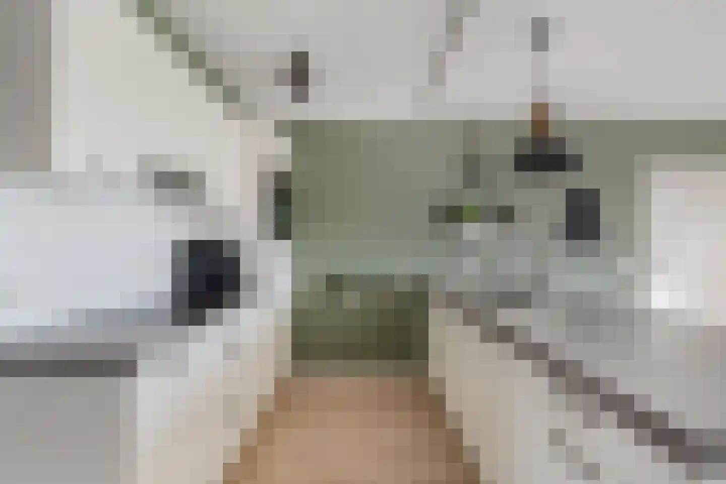 Menno van Coehoornstraat 14 Sloten thumbnail 17