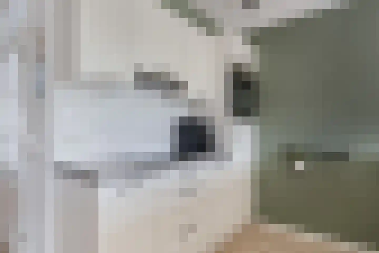 Menno van Coehoornstraat 14 Sloten thumbnail 18