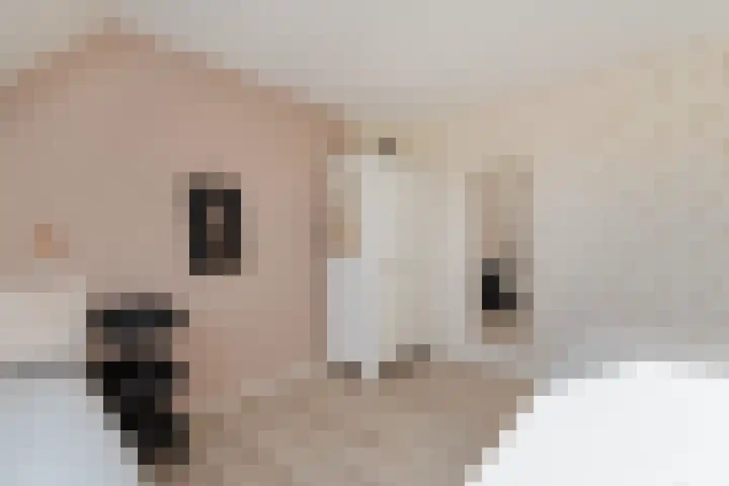 Menno van Coehoornstraat 14 Sloten thumbnail 35