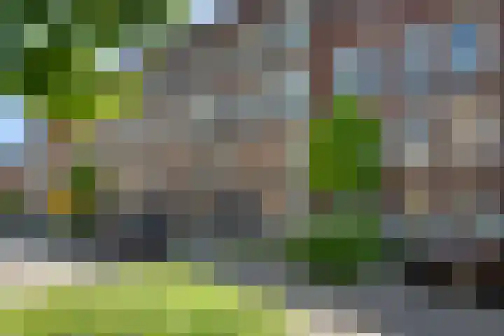 Menno van Coehoornstraat 15 Breda thumbnail 26