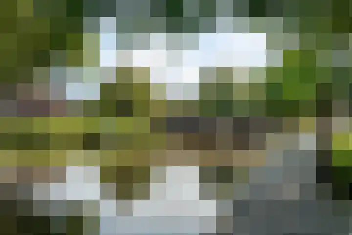 Menno van Coehoornstraat 15 Breda thumbnail 38