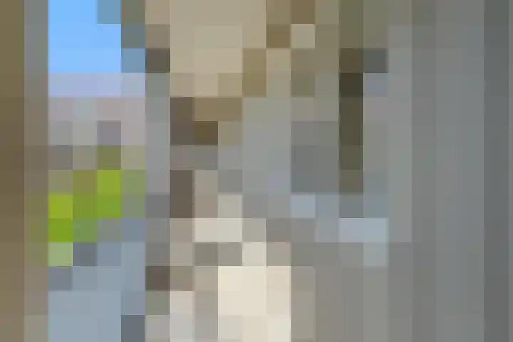 Menno van Coehoornstraat 15 Breda thumbnail 6