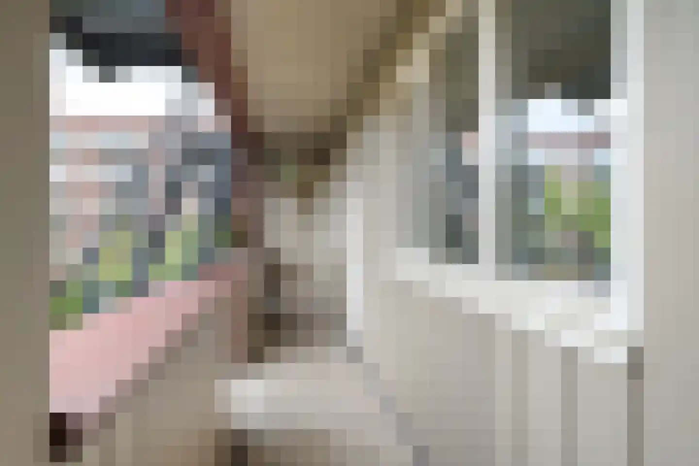 Menno van Coehoornstraat 17 Breda thumbnail 4