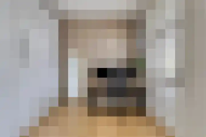 Menno van Coehoornstraat 2 B6 Breda thumbnail 16