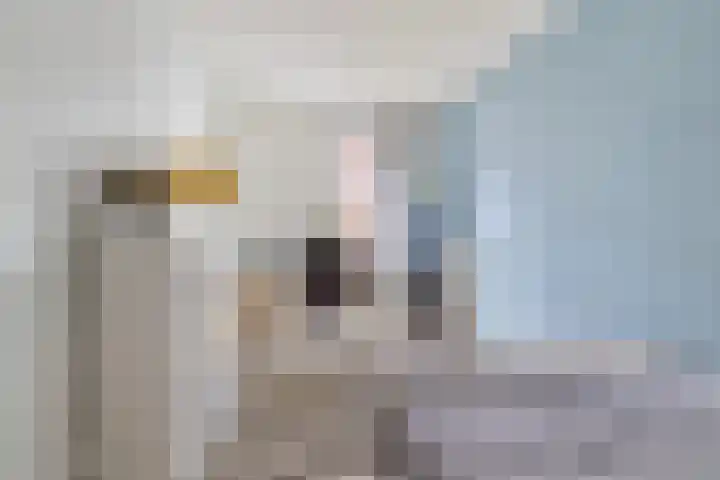 Menno van Coehoornstraat 2 B8 Breda thumbnail 30