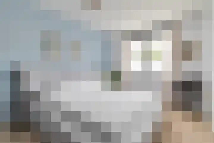 Menno van Coehoornstraat 2 B8 Breda thumbnail 31