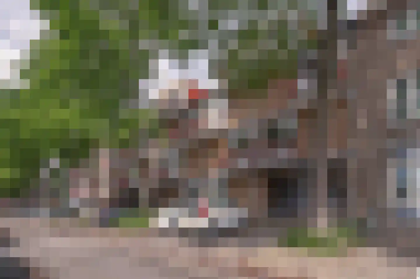 Menno van Coehoornstraat 34 A Maastricht thumbnail 14