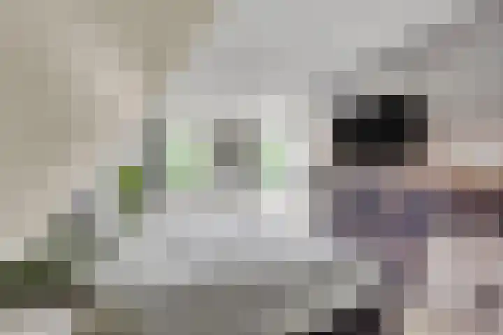 Menno van Coehoornstraat 39 Sloten thumbnail 25
